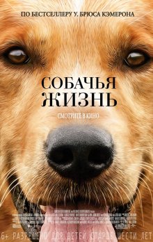 Собачья жизнь смотреть онлайн бесплатно HD качество Собачья жизнь смотреть онлайн бесплатно HD качество