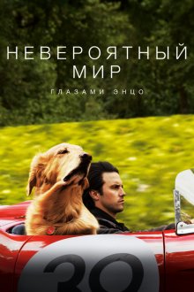 Невероятный мир глазами Энцо смотреть онлайн бесплатно HD качество Невероятный мир глазами Энцо смотреть онлайн бесплатно HD качество